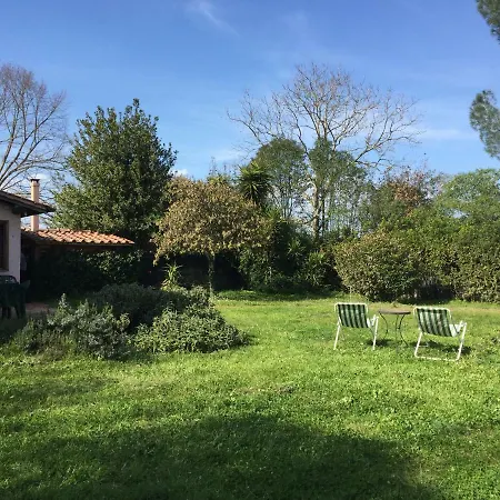 Nel Verde